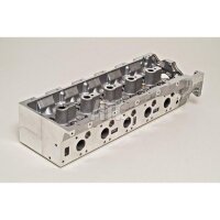 AMC 908575 Zylinderkopf