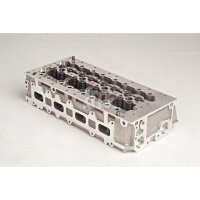 AMC 908645 Zylinderkopf