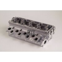 AMC 908700 Zylinderkopf