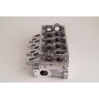 AMC 908701 Zylinderkopf