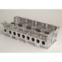 AMC 908751 Zylinderkopf