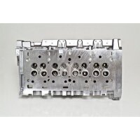 AMC 908797 Zylinderkopf