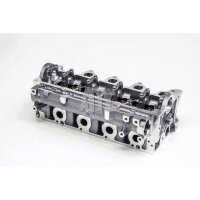 AMC 908889 Zylinderkopf
