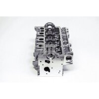 AMC 908889 Zylinderkopf