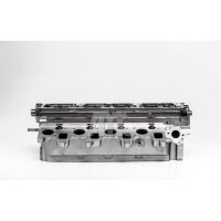 AMC 908928 Zylinderkopf