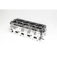 AMC 908928 Zylinderkopf