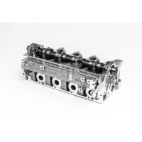 AMC 908990 Zylinderkopf