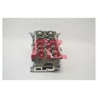 AMC 910038 Zylinderkopf