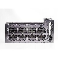AMC 910546 Zylinderkopf