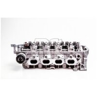 AMC 910871 Zylinderkopf