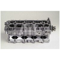 AMC 910930 Zylinderkopf
