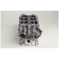 AMC 910930 Zylinderkopf