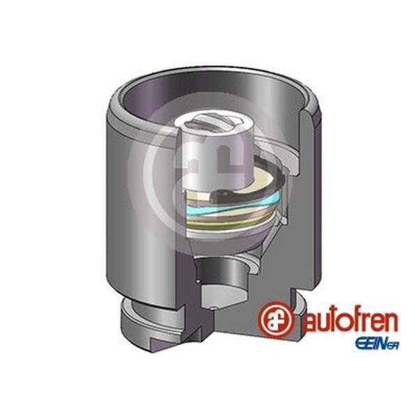 AUTOFREN SEINSA D025119K Kolben, Bremssattel
