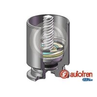 AUTOFREN SEINSA D025122RK Kolben, Bremssattel