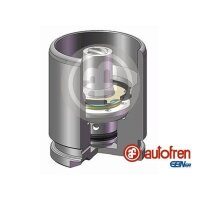 AUTOFREN SEINSA D025126K Kolben, Bremssattel