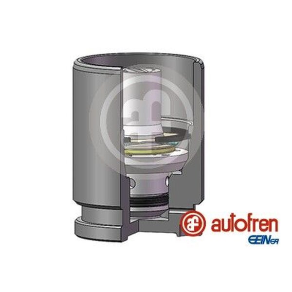 AUTOFREN SEINSA D02519K Kolben, Bremssattel