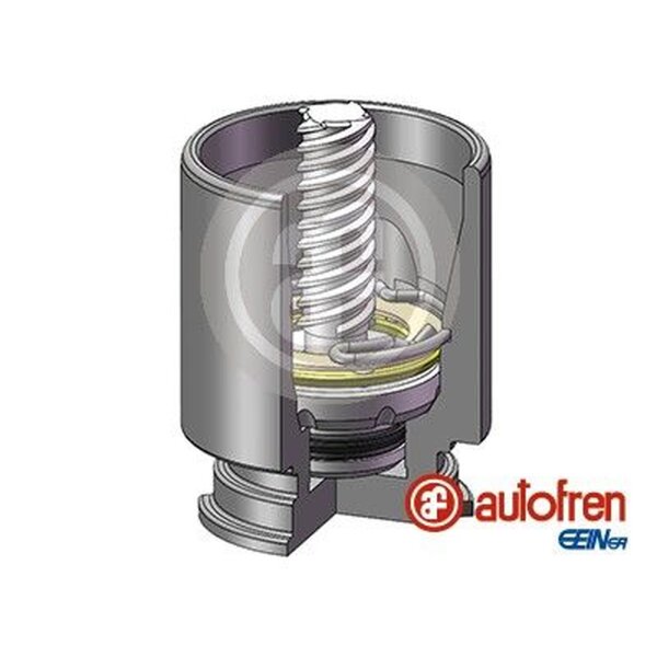 AUTOFREN SEINSA D025222K Kolben, Bremssattel