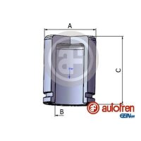 AUTOFREN SEINSA D025231 Kolben, Bremssattel