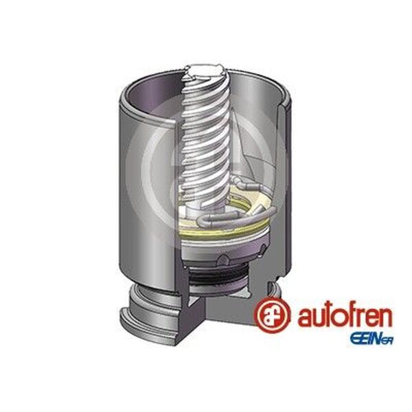 AUTOFREN SEINSA D02523K Kolben, Bremssattel