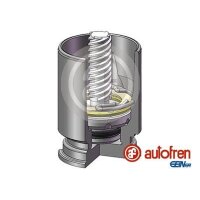 AUTOFREN SEINSA D02523K Kolben, Bremssattel