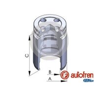 AUTOFREN SEINSA D025241 Kolben, Bremssattel