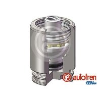 AUTOFREN SEINSA D025251K Kolben, Bremssattel