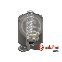AUTOFREN SEINSA D025363LK Kolben, Bremssattel
