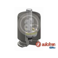 AUTOFREN SEINSA D025363RK Kolben, Bremssattel