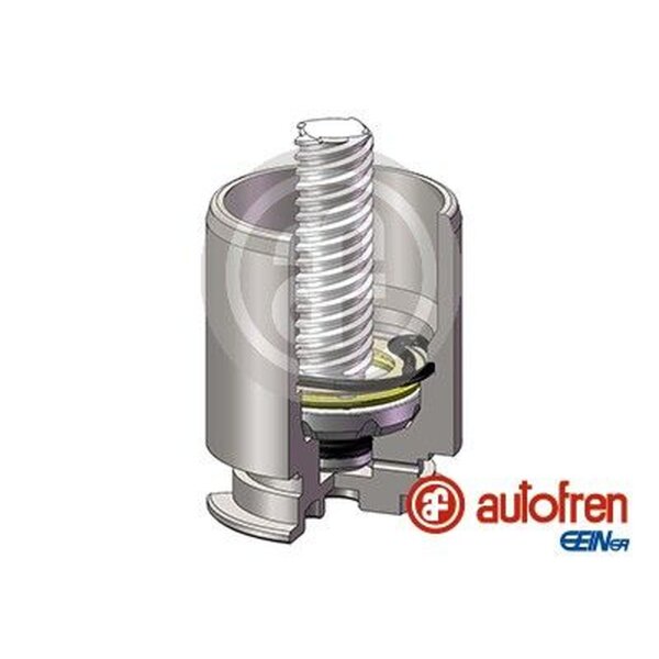 AUTOFREN SEINSA D025422RK Kolben, Bremssattel