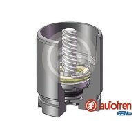 AUTOFREN SEINSA D025441LK Kolben, Bremssattel