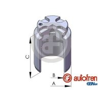 AUTOFREN SEINSA D02548 Kolben, Bremssattel