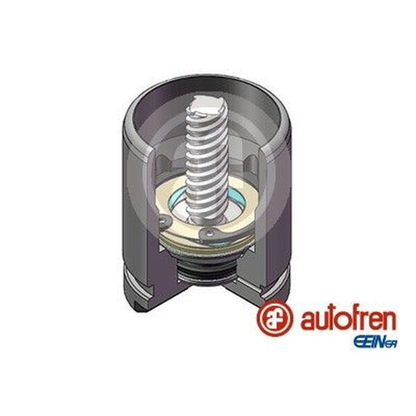 AUTOFREN SEINSA D025529K Kolben, Bremssattel