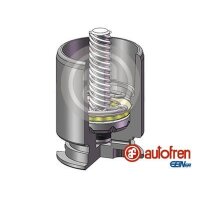 AUTOFREN SEINSA D02554LK Kolben, Bremssattel