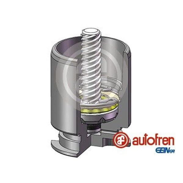 AUTOFREN SEINSA D02554RK Kolben, Bremssattel