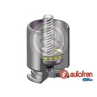 AUTOFREN SEINSA D02554RK Kolben, Bremssattel