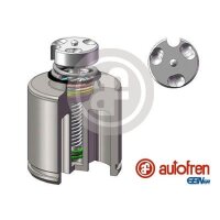 AUTOFREN SEINSA D025627LK Kolben, Bremssattel