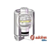 AUTOFREN SEINSA D025629K Kolben, Bremssattel