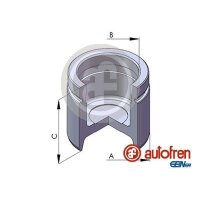 AUTOFREN SEINSA D02563 Kolben, Bremssattel