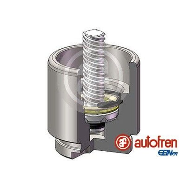 AUTOFREN SEINSA D025641LK Kolben, Bremssattel