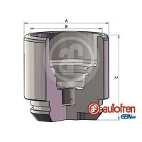 AUTOFREN SEINSA D025691 Kolben, Bremssattel