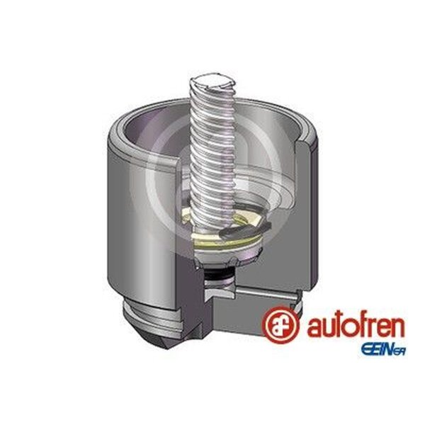 AUTOFREN SEINSA D025691LK Kolben, Bremssattel