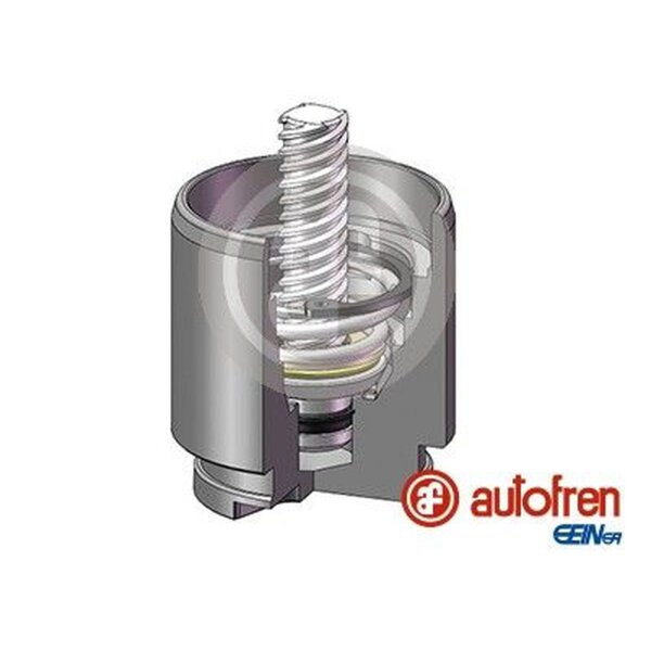 AUTOFREN SEINSA D025704K Kolben, Bremssattel