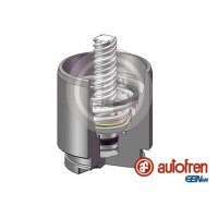 AUTOFREN SEINSA D025704K Kolben, Bremssattel