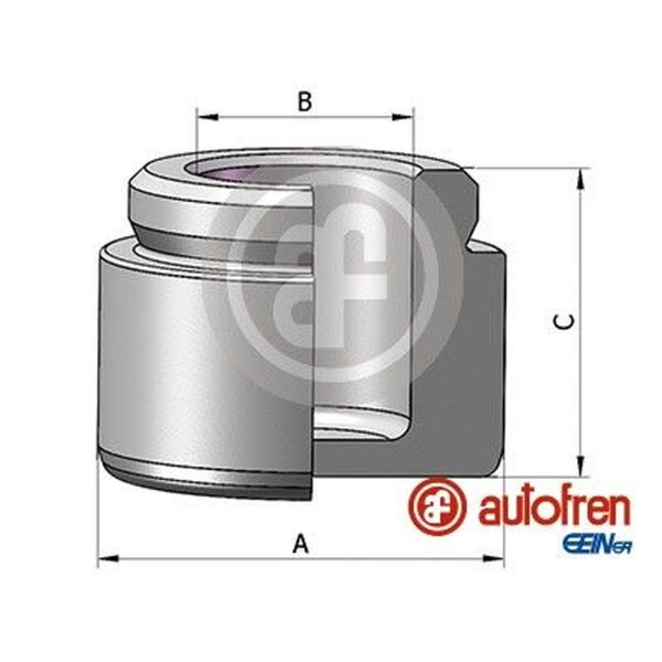 AUTOFREN SEINSA D025754 Kolben, Bremssattel