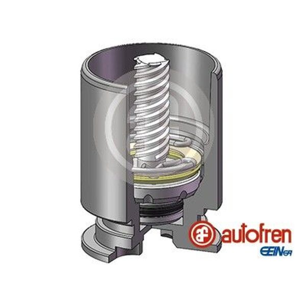 AUTOFREN SEINSA D025777RK Kolben, Bremssattel