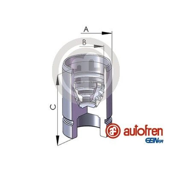 AUTOFREN SEINSA D02589 Kolben, Bremssattel