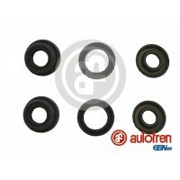 AUTOFREN SEINSA D1851 Reparatursatz, Hauptbremszylinder