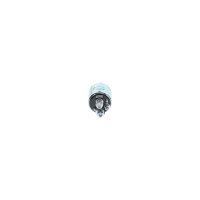 BOSCH 1 986 SE1 677 Magnetschalter, Starter