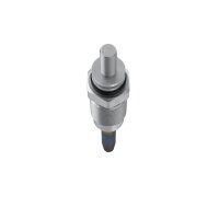 BOSCH 0 250 202 024 Glühkerze
