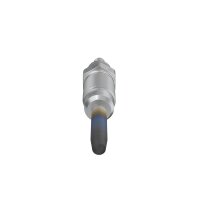BOSCH 0 250 202 024 Glühkerze